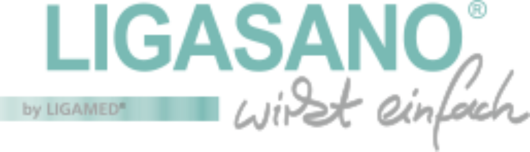 ligasano-logo